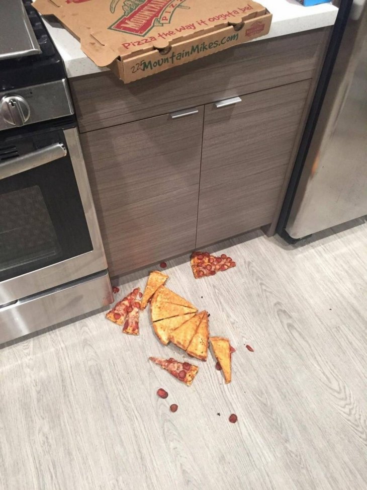 Очередная фото подборка фейлов и всевозможных жизненных неудач 