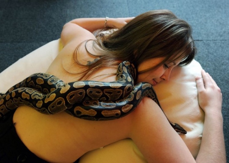 Эта девушка обожала спать с питоном, но змея вдруг стала худеть... Узнав, в чём дело, я содрогнулся!