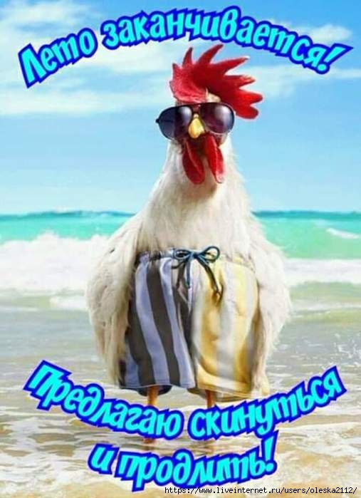 — А что, правда говорят, что все войны на земле - из-за баб? — Естественно! Нарожали дебилов!
