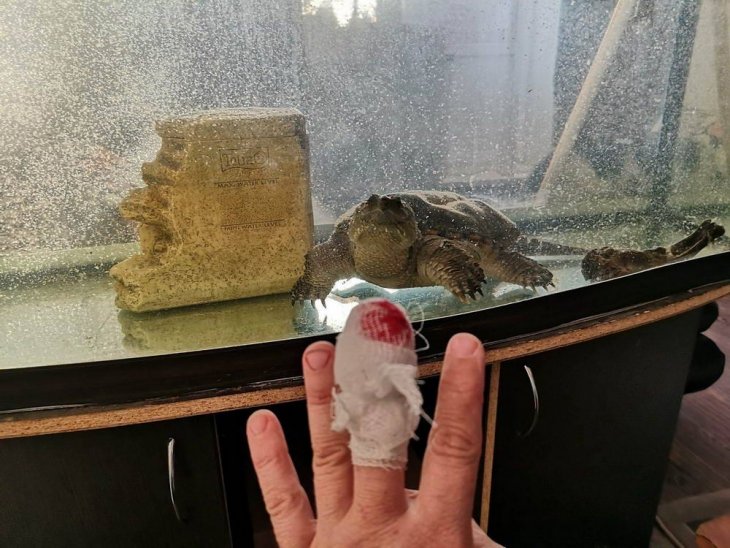 Очередная фото подборка фейлов и всевозможных жизненных неудач 