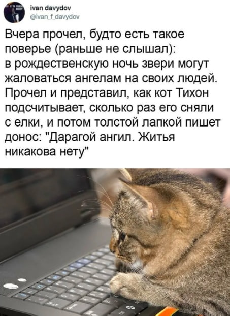 Всем, кто жалуется на отсутствие новогоднего настроения: ребят, может 1-го выйдем и поработаем? 