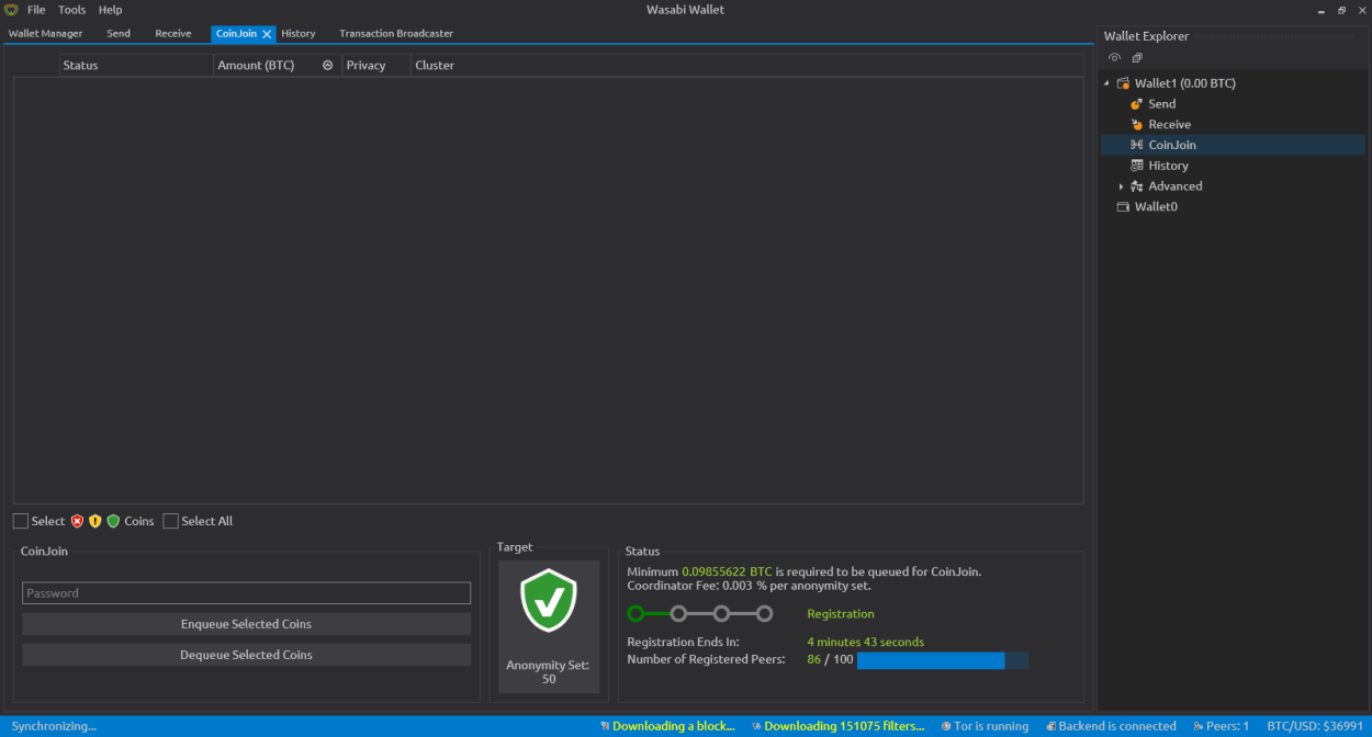 Dashboard of Wasabi Wallet