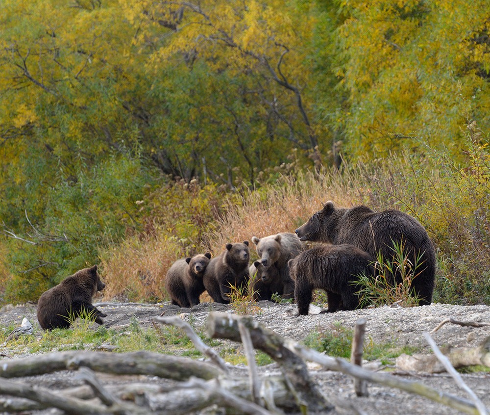 Подборка интересных фотографий Подборка интересных фотографий