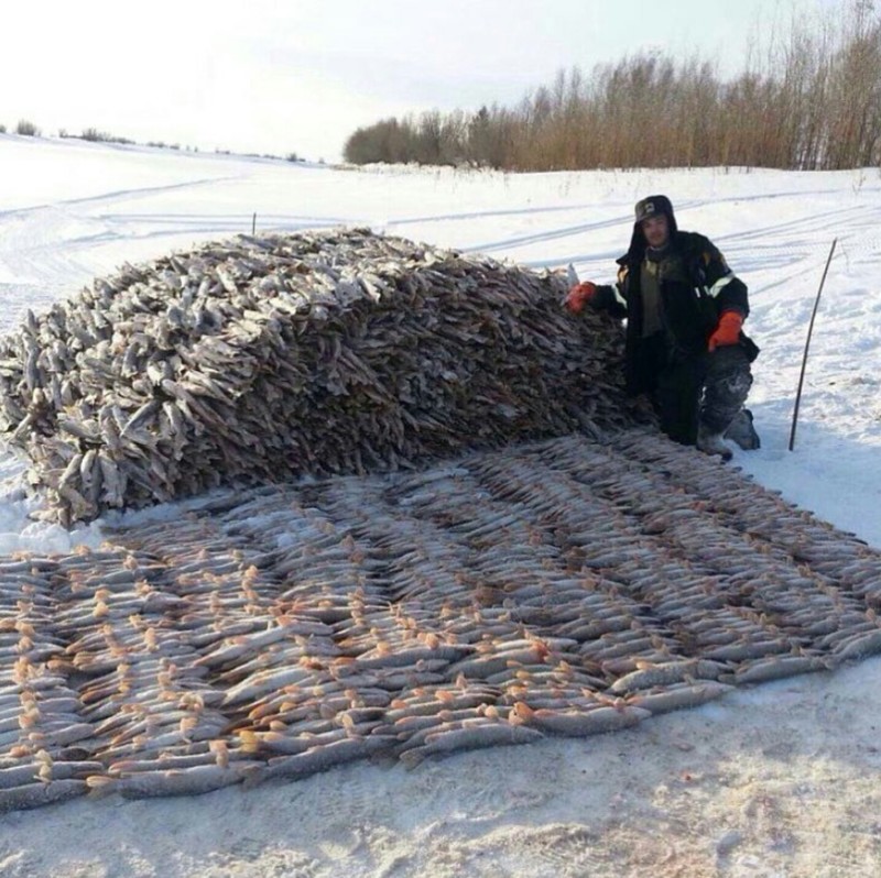 Непередаваемая красота и романтика зимней рыбалки зима, рыбалка, хобби, юмор