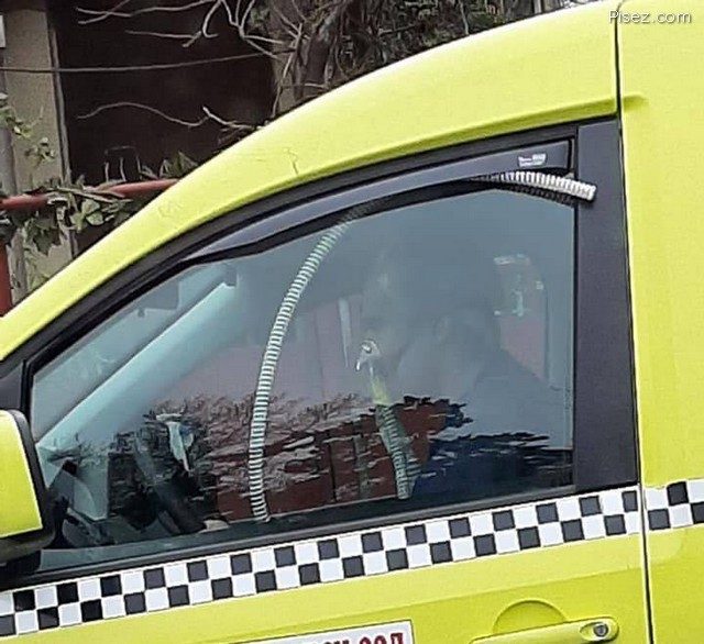 Коронавирус 2021. Новые приколы позитив,смешные картинки,юмор