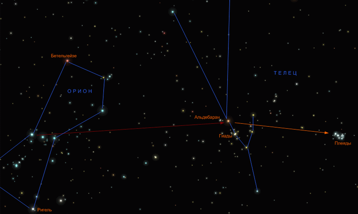 Ярчайшая звезда ориона. Созвездие Телец Альдебаран. Плеяды в созвездии тельца. Орион Телец Плеяды. Плеяды на карте звездного неба.