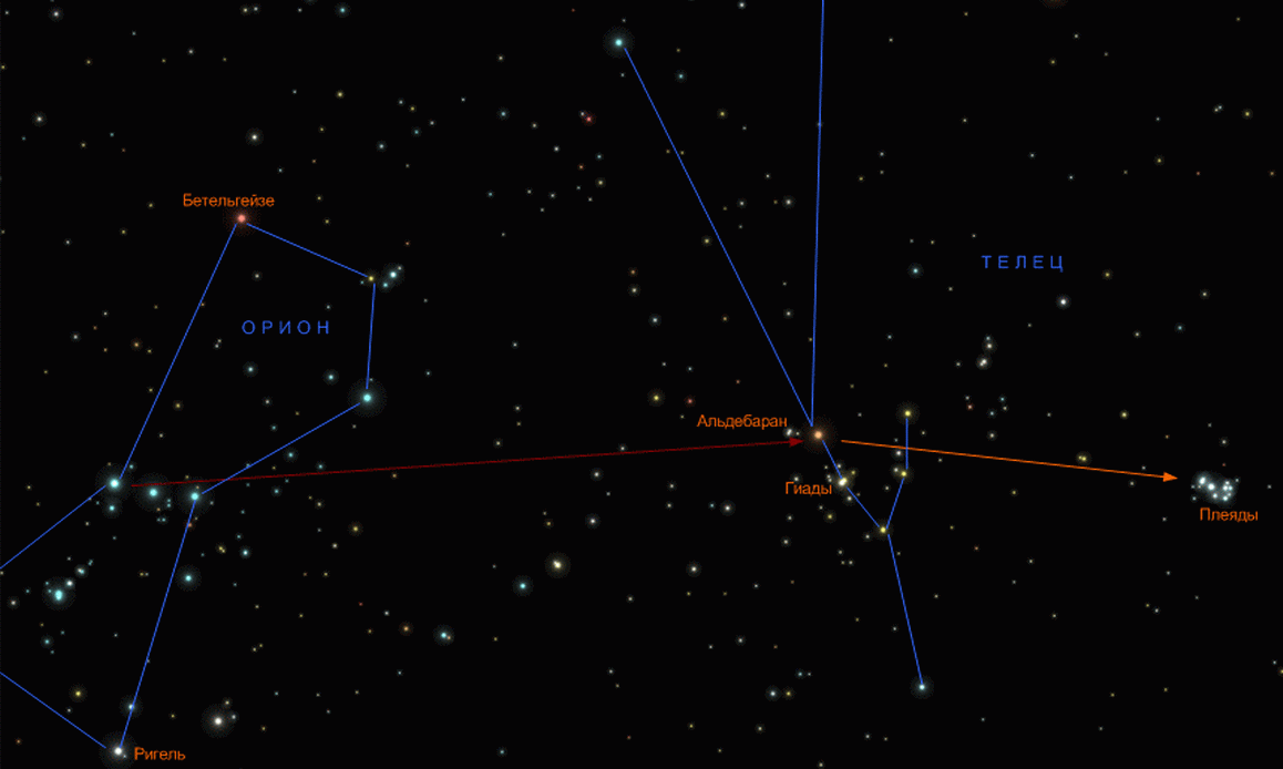 Яркие звезды ориона. Созвездие Телец Плеяды. Плеяды на карте звездного неба. Созвездие Плеяды на карте звездного неба. Созвездие Гиады и Плеяды.