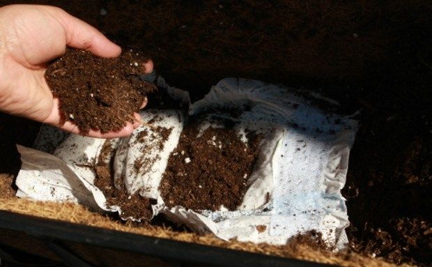 23 гениальные хитрости, которые пригодятся в саду 23 гениальные хитрости, которые пригодятся в саду дача,полезные советы,сад и огород