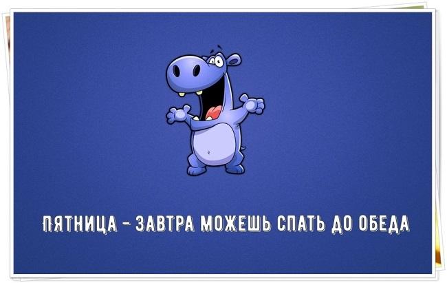 Картинки со смешными статусами Картинки со смешными статусами