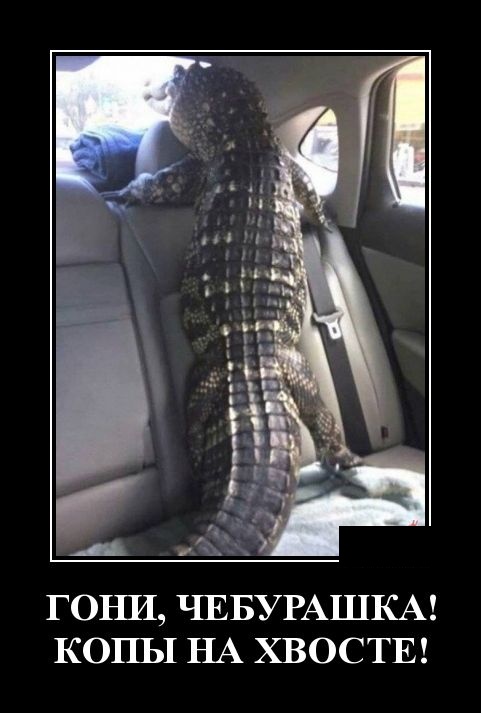 Демотиваторы Демотиваторы демотиваторы