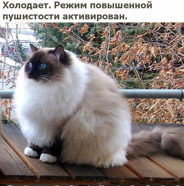 Веселые истории 