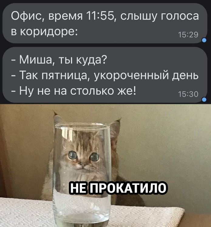 Юмористические картинки для настроения 