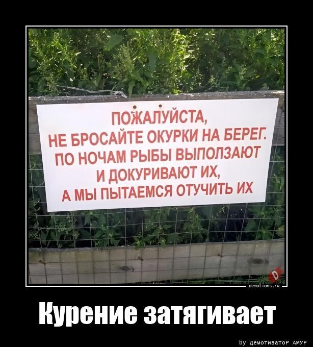 Традиционная коллекция прикольных демотиваторов на любой вкус! Традиционная коллекция прикольных демотиваторов на любой вкус!