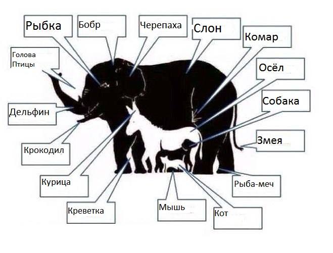 Суперзадачка «ломает мозг»: сколько животных вы видите на картинке
