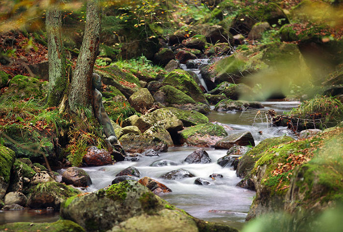 Попробуйте найти голую девушку на фотографии Путешествия,фото
