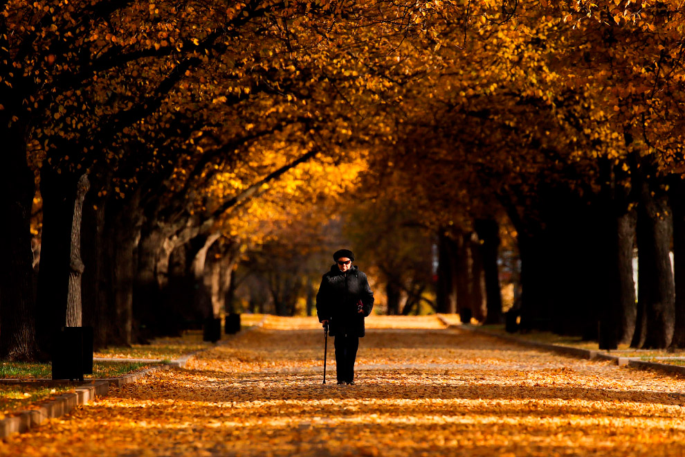 Последние дни золотой осени в фотографиях 