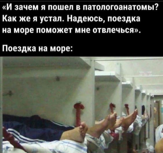 Свежие смешные до слез картинки Свежие смешные до слез картинки