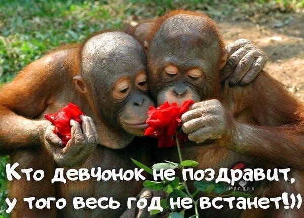 Веселые картинки. Поздравления для женщин с 8 Марта!