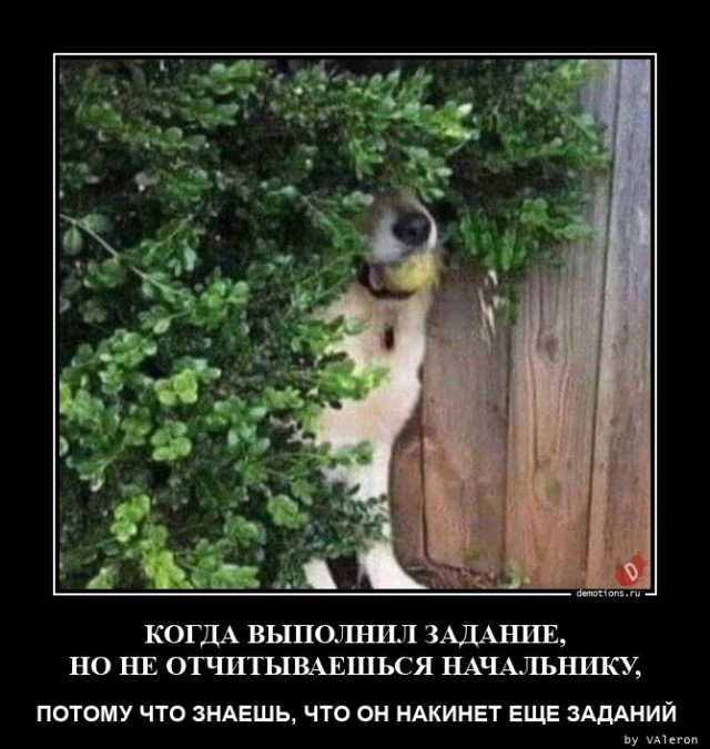 Демотиваторы нового дня: «Лети на море!» Демотиваторы нового дня: «Лети на море!»