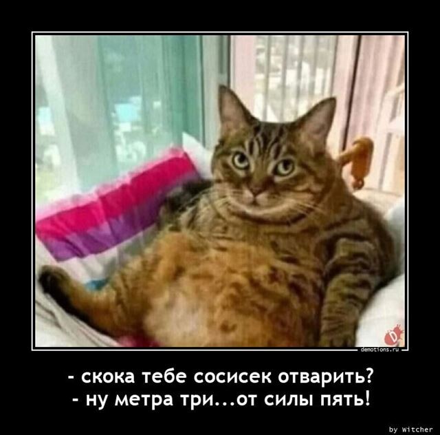 Традиционная коллекция прикольных демотиваторов на любой вкус! Традиционная коллекция прикольных демотиваторов на любой вкус!