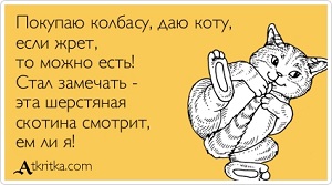 Он был обычным котом, лежал на печи и ел сметану. Но армия добралась и до него. Смотрите на видео - «Кот в сапогах» почему, Молчание, монашек, Радибога, время, Буpатино, реакция, капель, армянского, валокордина, Достоинство, когда, обидели, обиделись, Смерть, защитная, Первая, организма, нездорового, образа