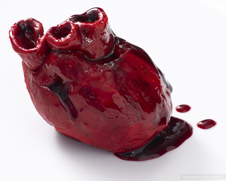 Ученые наконец узнали, почему у человека бьется сердце