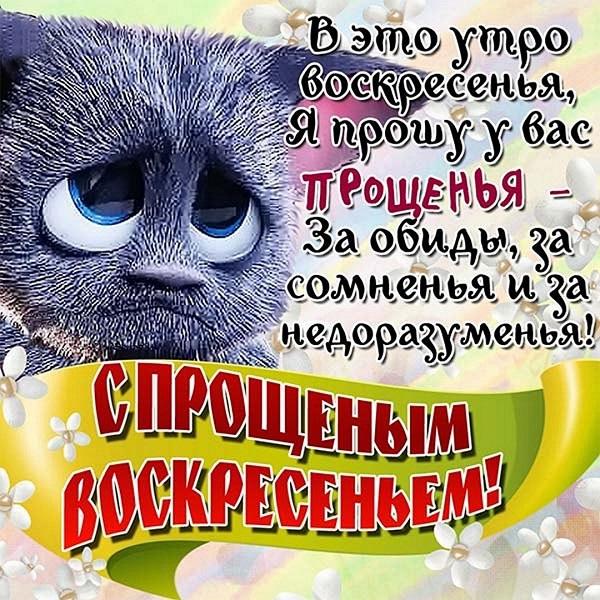 Картинки со смешными статусами Картинки со смешными статусами