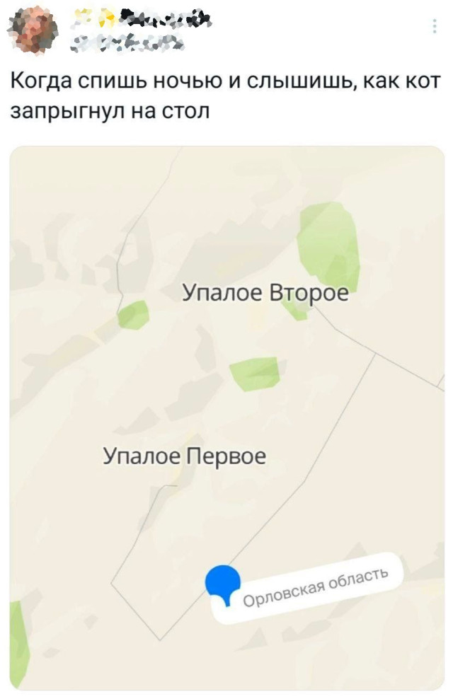 Прикольные комментарии: «У меня который год есть идея…» 