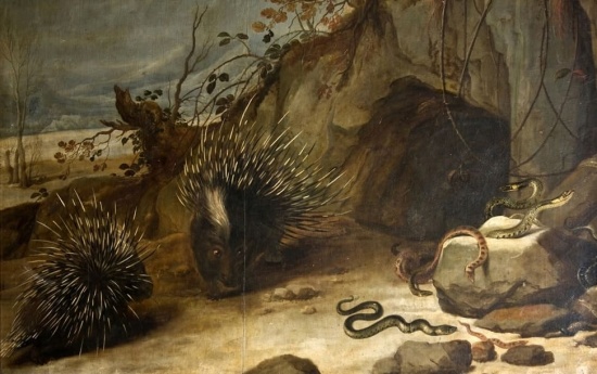 �������� ����� �������� (Frans Snyders) ������� � 08