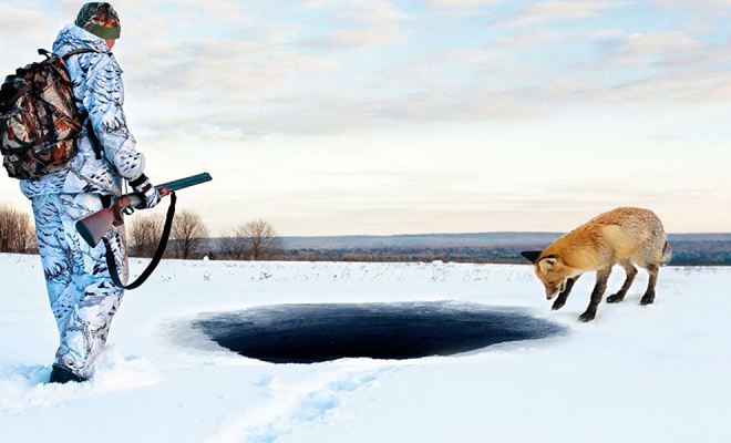 Лиса вышла на охотников и позвала за собой. В глубокой яме в лесу они увидели человека - похожая новость на Toplenta