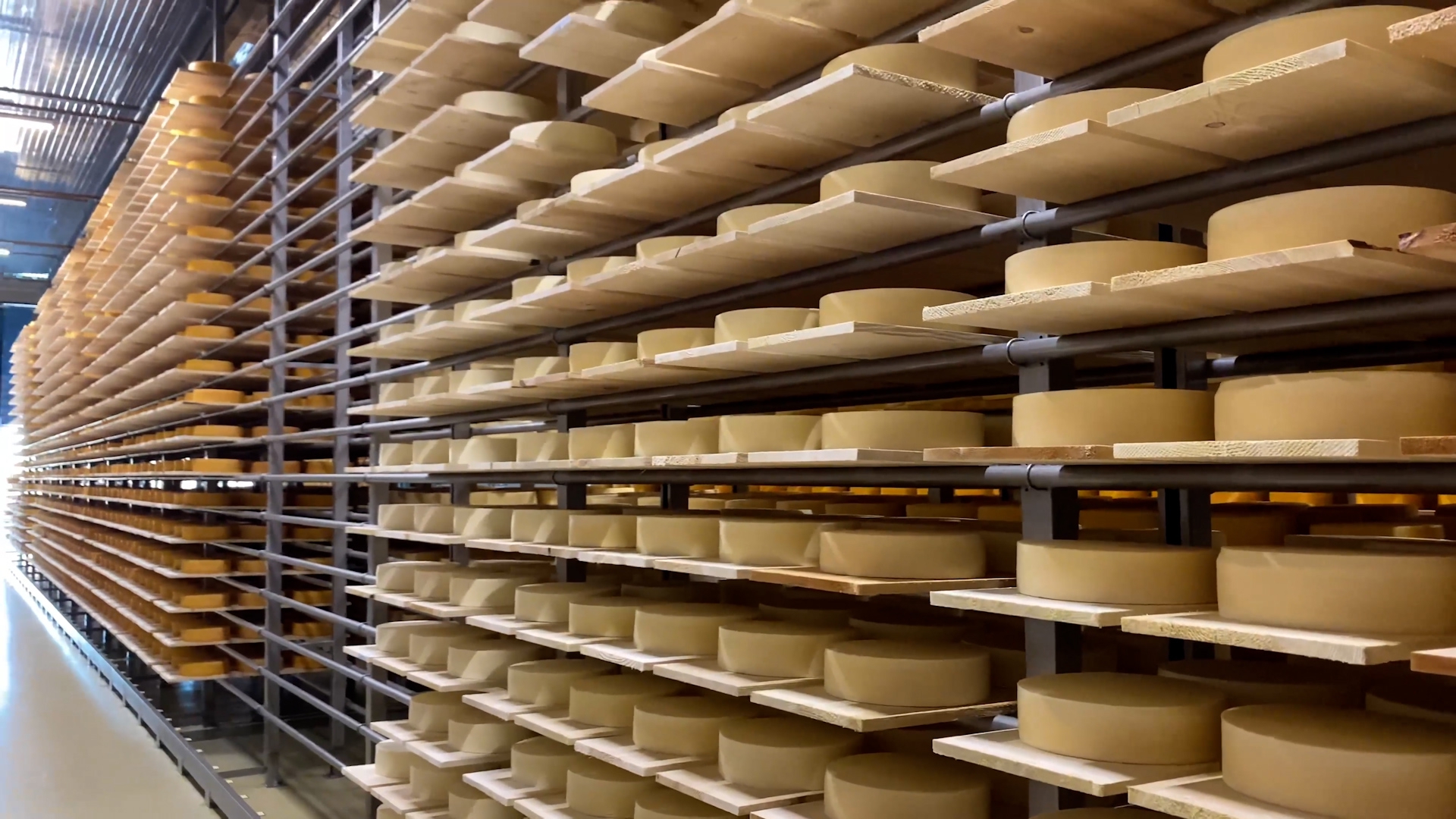 Более 120 тонн российского сыра представят на фестивале «Сыр! Пир! Мир!» Видео