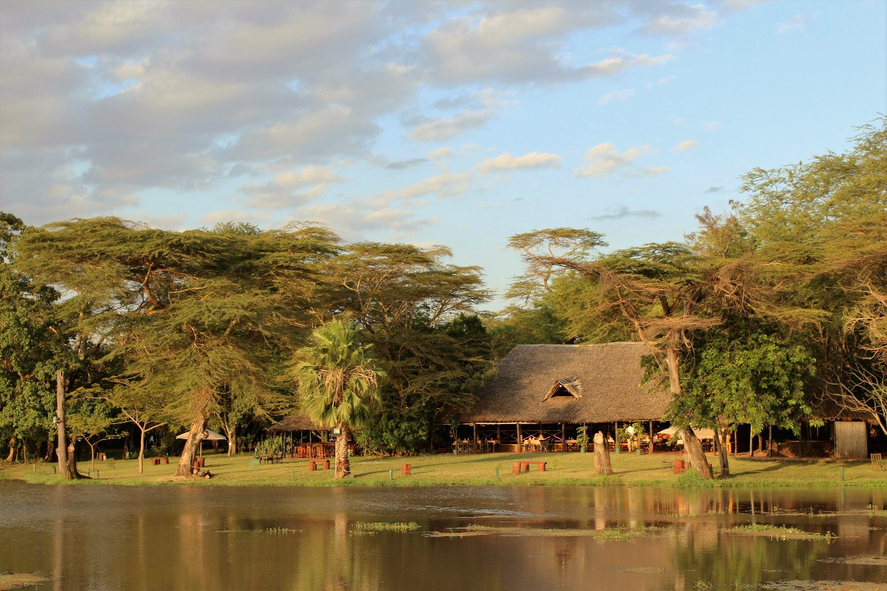 Мое знакомство с Кенией