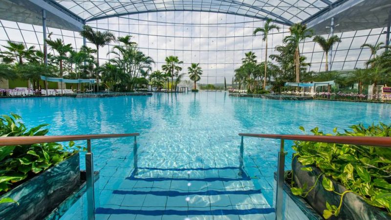Sinsheim schwimmbad palmen
