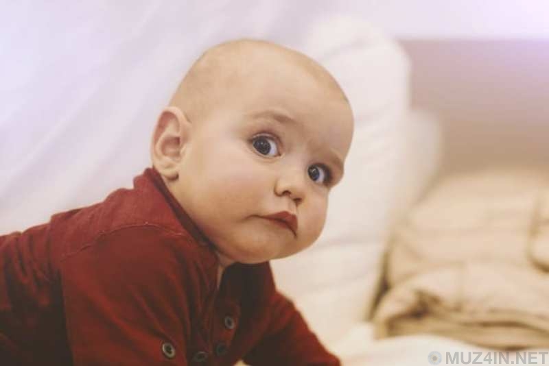 Безумные научные теории, которые раньше принимались за правду Безумные научные теории, которые раньше принимались за правду