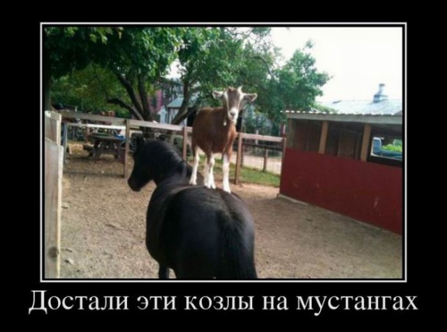 Демотиваторы дня: «Красивое» Демотиваторы дня: «Красивое»