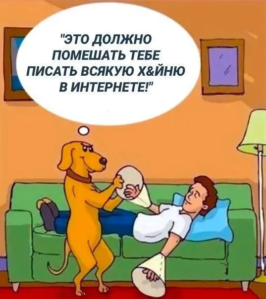 Лучшие Мемы и картинки с надписями для настроения