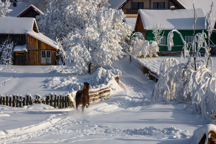 Филиппов день 22 января: обряды, традиции, запреты и разрешенные дела