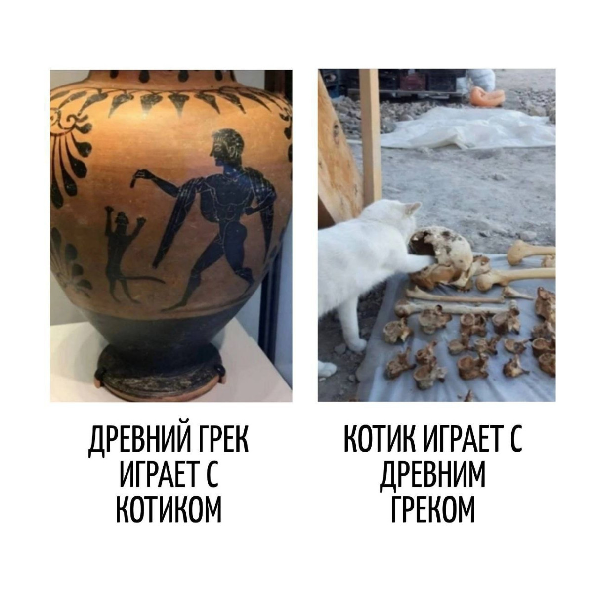 Острый соус для дискуссий: комментарии к постам которые жгут 