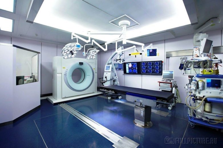 Шалом алейхем! 12 сочных фактов об Израиле