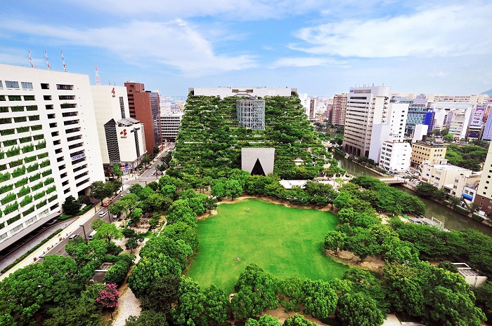 Целый международный центр с вертикальным озеленением. /Фото: greenroofs.com