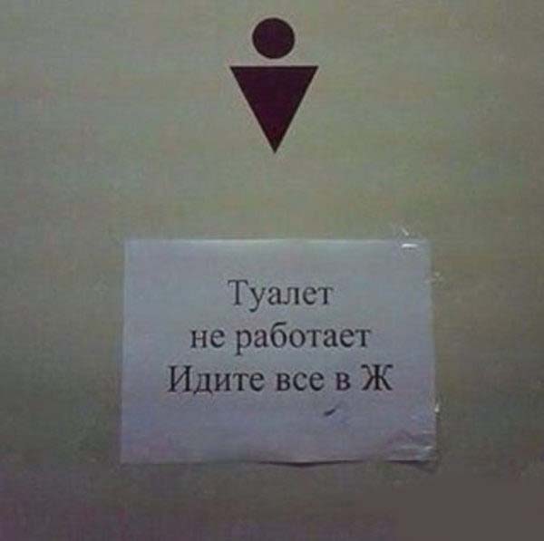 Весёлые картинки с просторов сети Весёлые картинки с просторов сети
