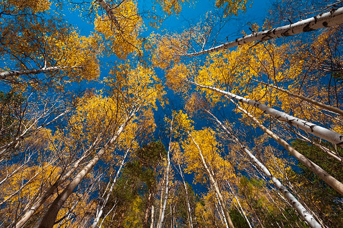 Золотая осень на Байкале Золотая осень на Байкале