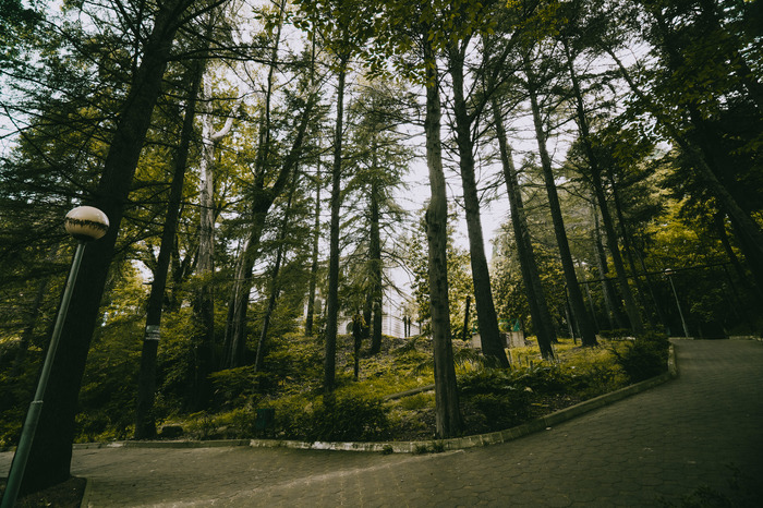 Заброшенный санаторий в Сочи, или как оказаться в Джуманджи Заброшенный санаторий в Сочи, или как оказаться в Джуманджи Россия,туризм