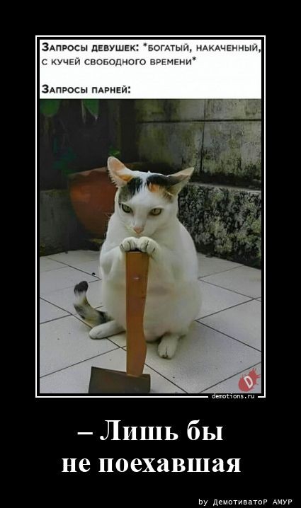 Демотиваторы нового дня: «Лети на море!» Демотиваторы нового дня: «Лети на море!»