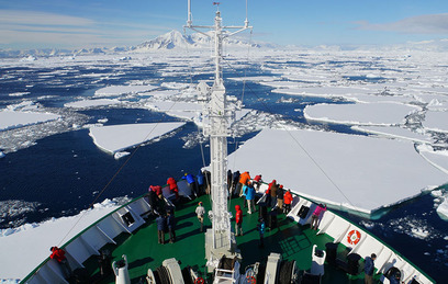 Градус накаляется: в Антарктике установилась небывалая жара