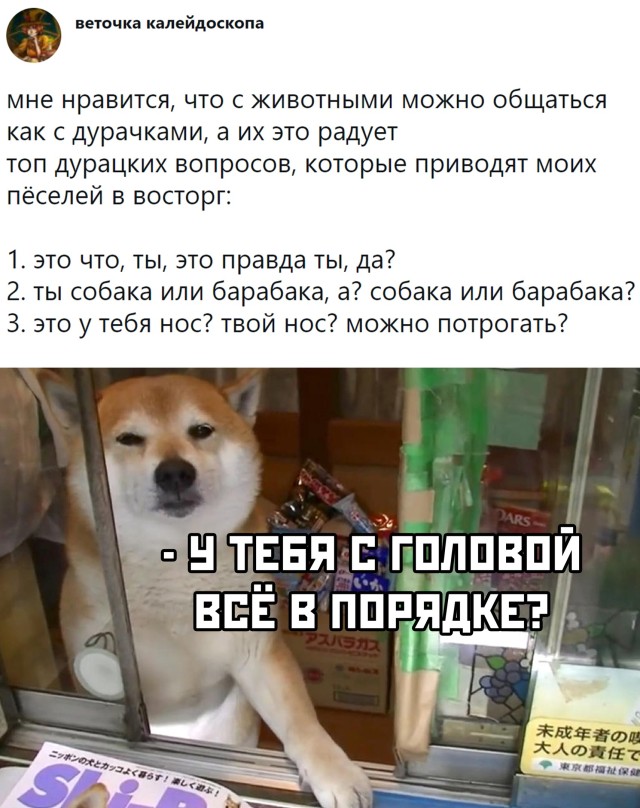 Подборка прикольных картинок Подборка прикольных картинок приколы,смешные картинки,юмор