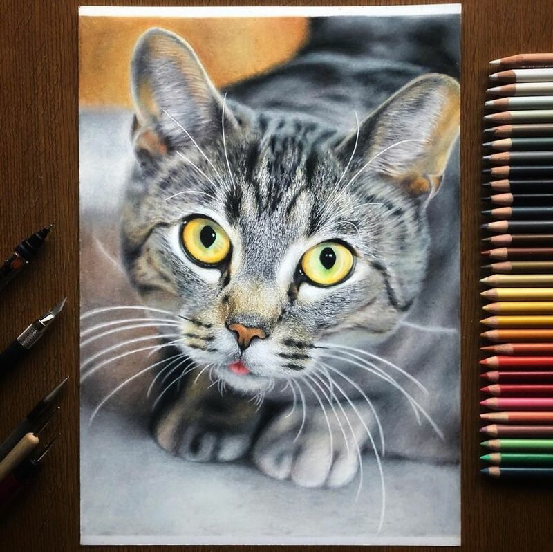 Как нарисовать реалистичного кота