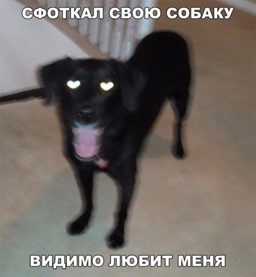 Прикольные фотомемы!