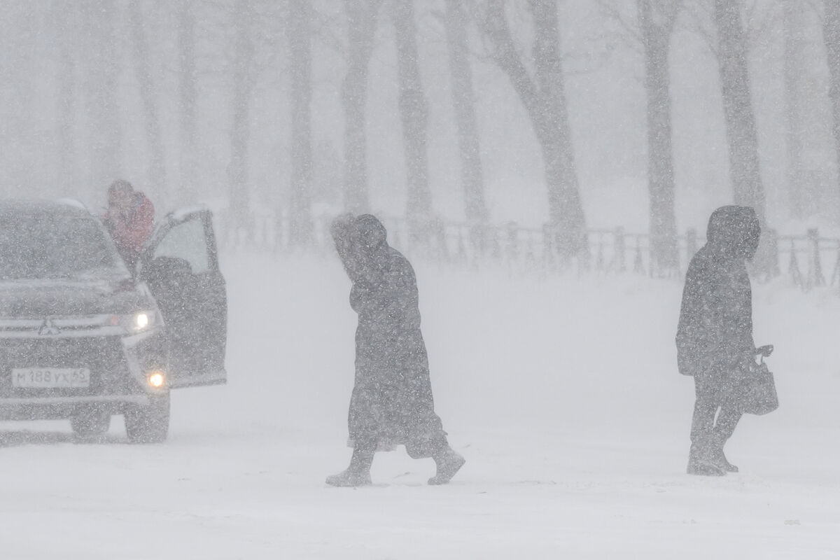 Ветряная гавань