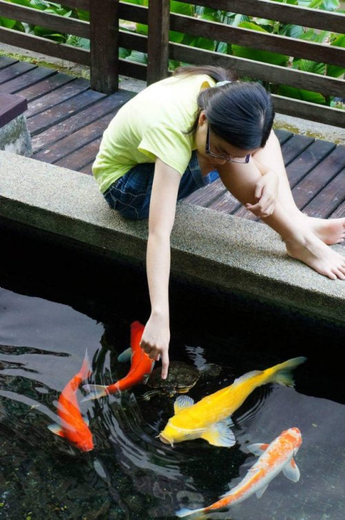 Прикольные картинки и фото, бодрые 